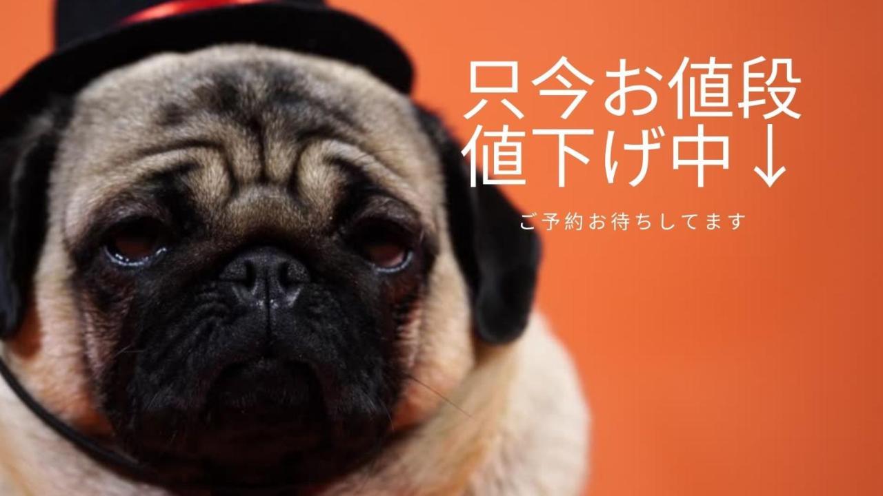 豊水すすきの駅から徒歩数分 Ik Minami 6 Jo Residence 101 Ik南6条レジデンス Sapporo Zewnętrze zdjęcie